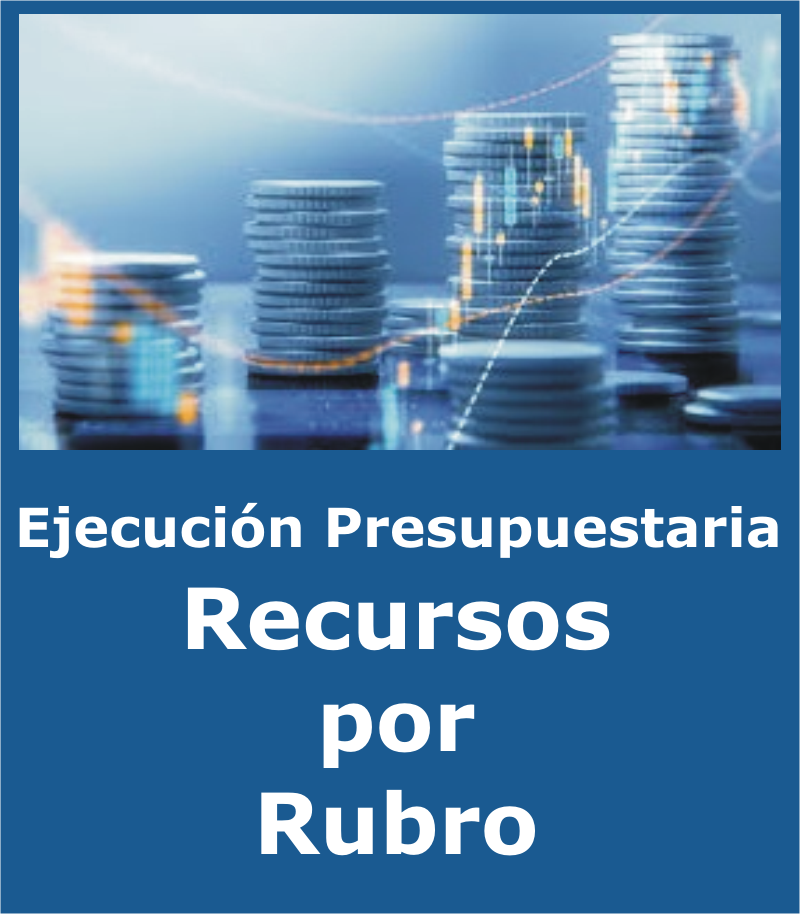 Ejecución Presupuestaria Recursos por Rubro