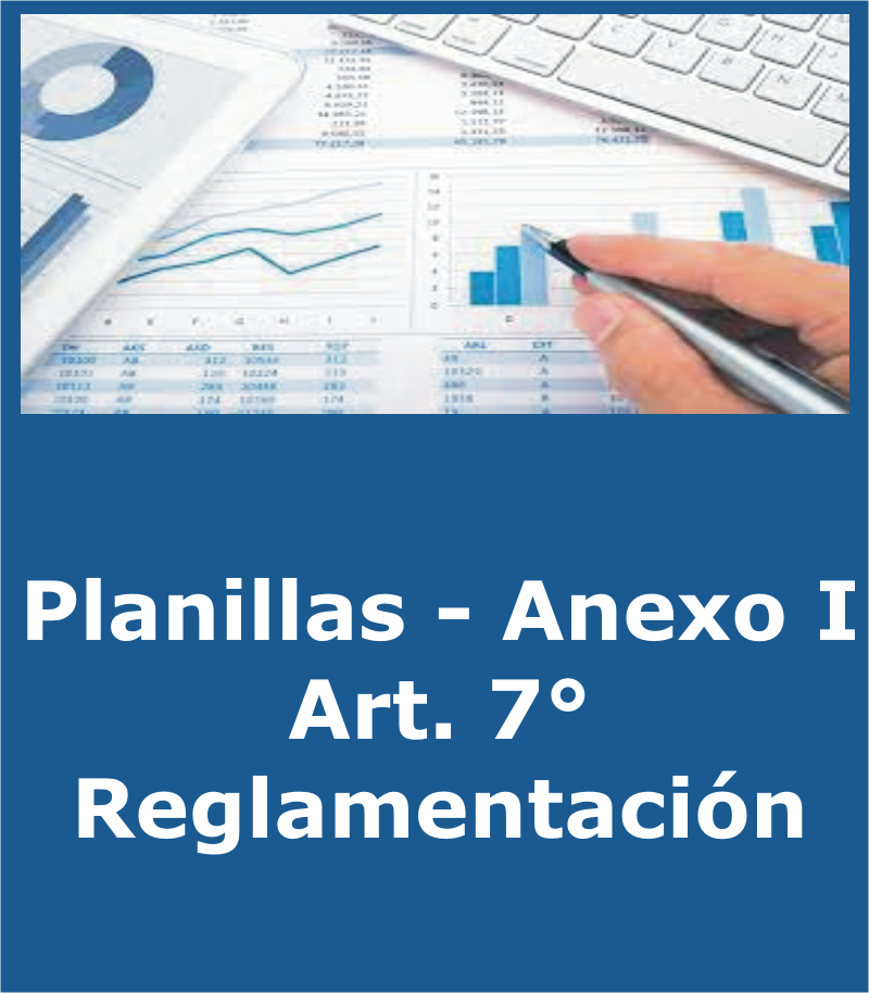 Planillas Anexo I - Art 7 Reglamentación