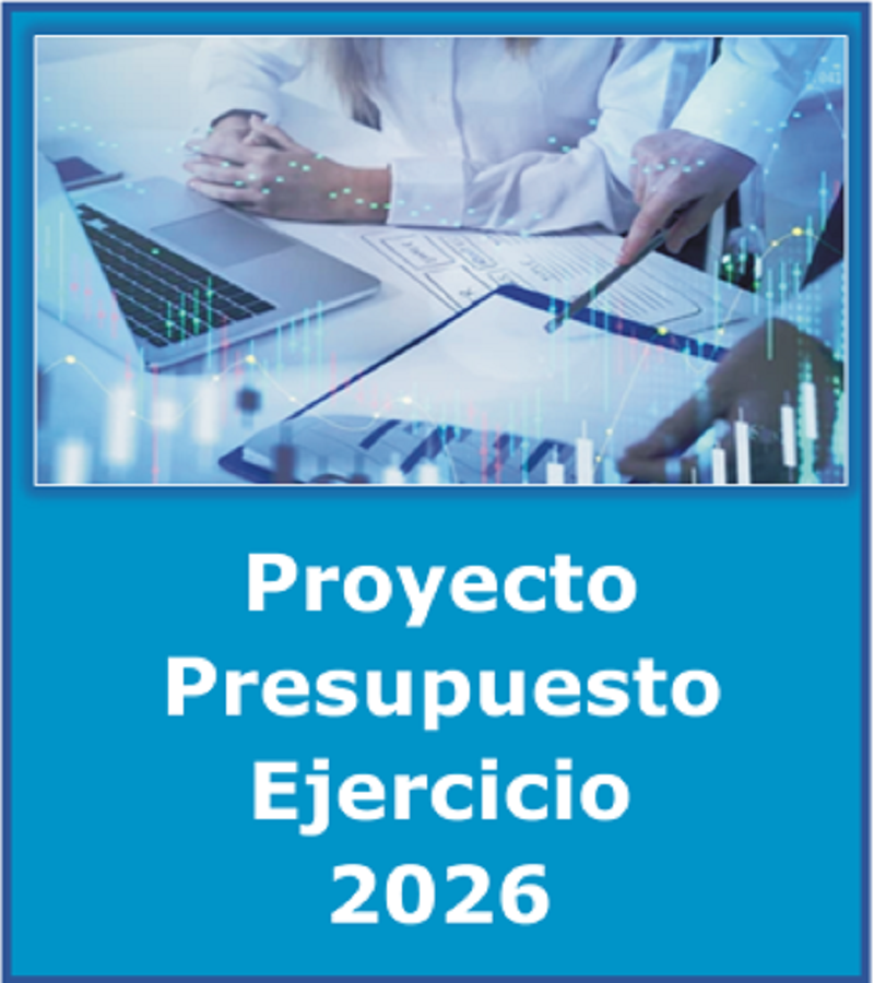 Proyecto de Presupuesto 2026